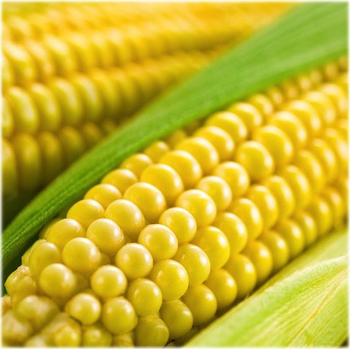 Corns